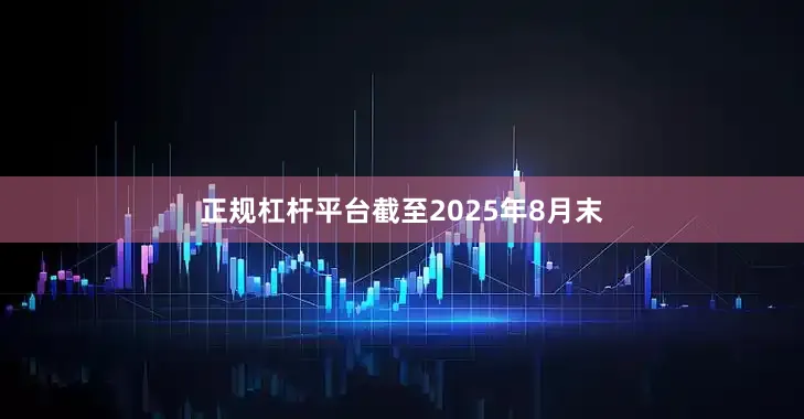 正规杠杆平台截至2025年8月末